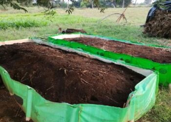 वर्मीकम्पोस्ट