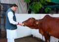 CM Dhami