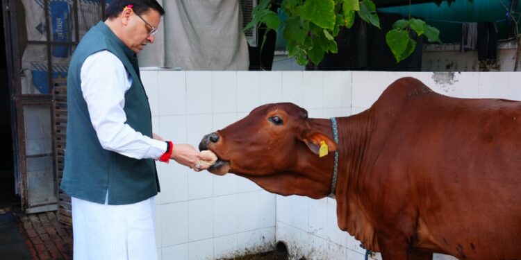 CM Dhami
