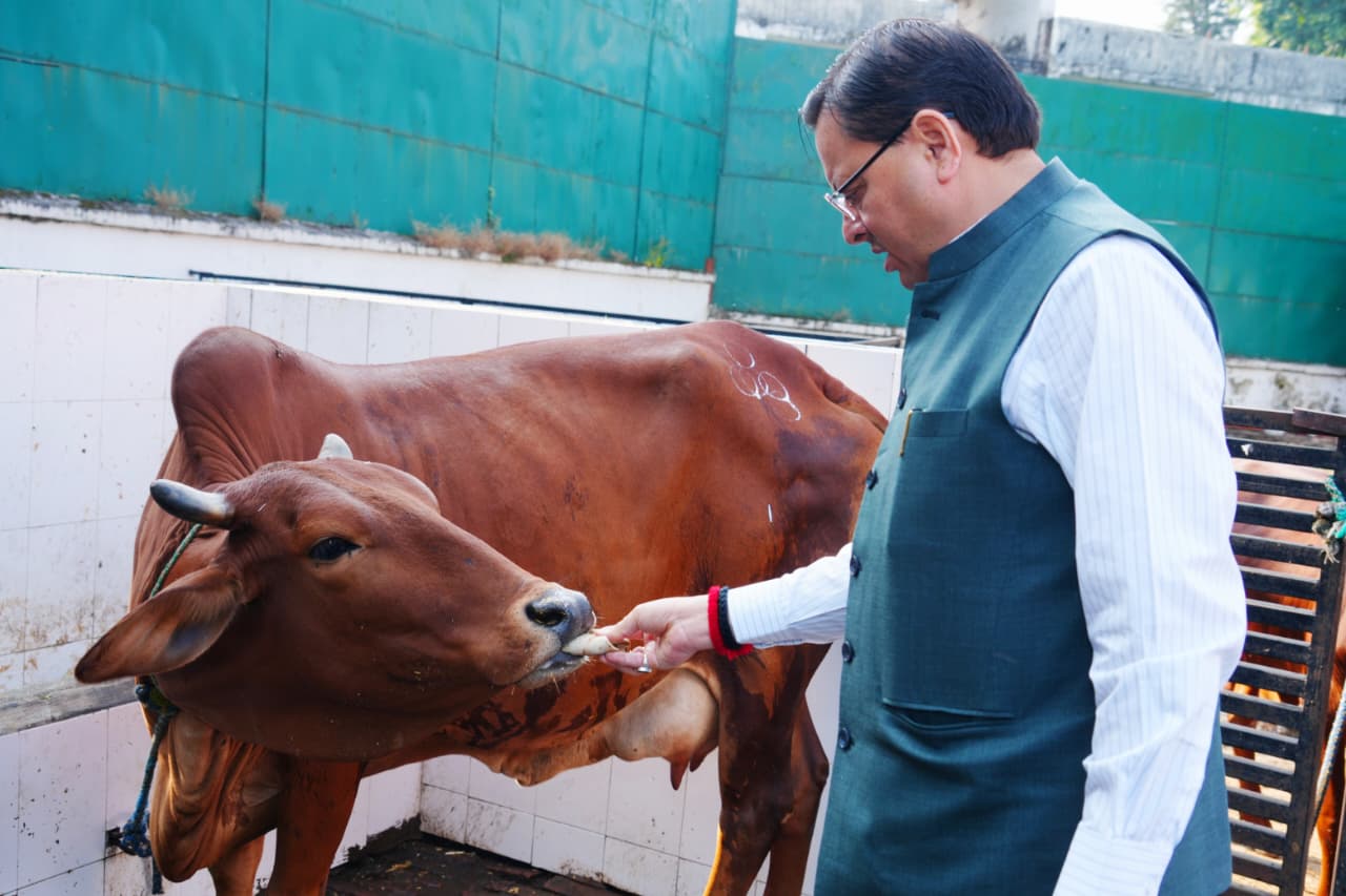 CM Dhami