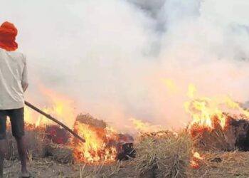 पराली जलाना