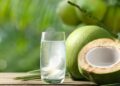 coconut water
