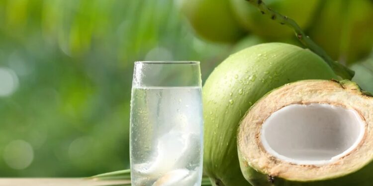 coconut water