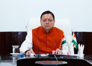cm dhami