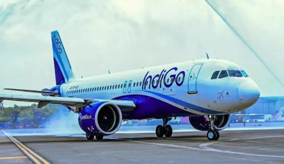 Indigo