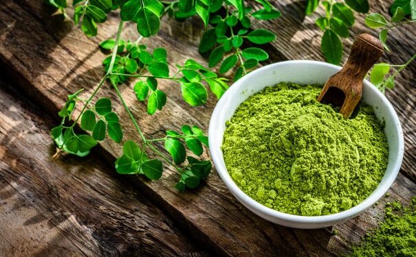 moringa powder