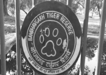 Bandhavgarh Tiger Reserve