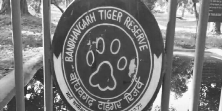 Bandhavgarh Tiger Reserve