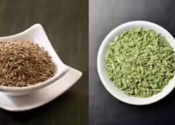 सौंफ और जीरा