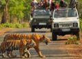 safari in corbett national park