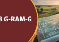 VB G-RAM-G