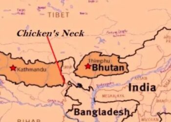 chicken neck india