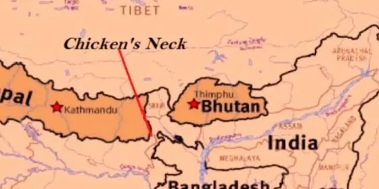 chicken neck india