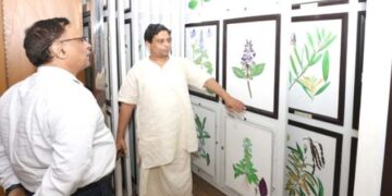 हर्बल आर्ट म्यूज़ियम