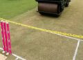 grassy pitch