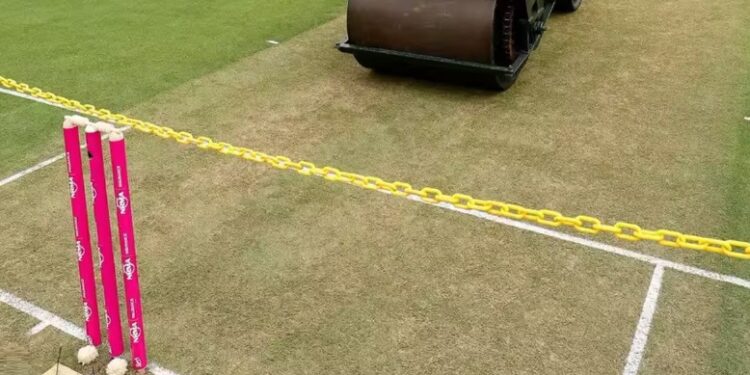 grassy pitch