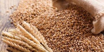 wheat export