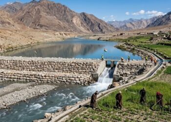 rock check dam ladakh