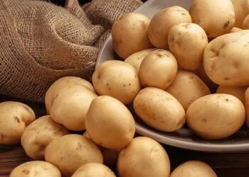 Potatoes