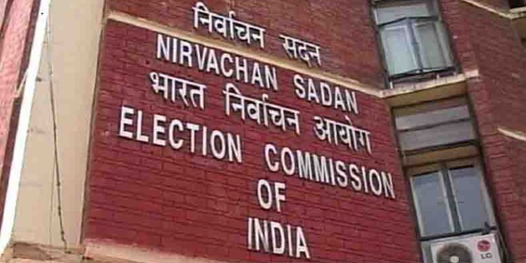 election