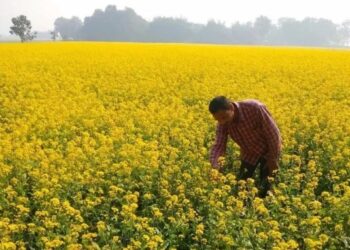 Farmers