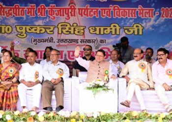 cm dhami