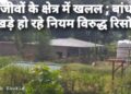 Bandhavgarh Tiger Reserve