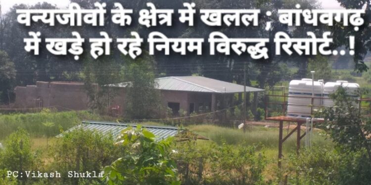 Bandhavgarh Tiger Reserve